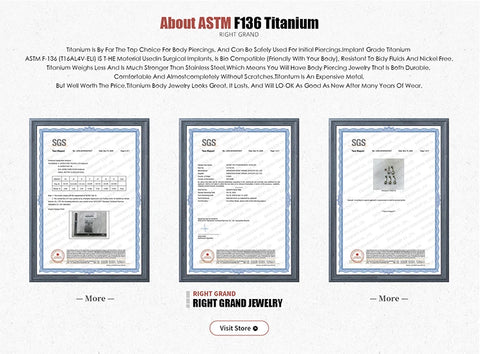 Titanium CZ Moon Cartilage Earring Tiny Crescent Moon CZ Dangle Helix