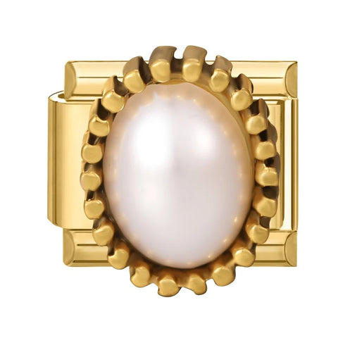 Golden Heart Butterfly Sun Flower Pearl Zircon Italian Charm Links