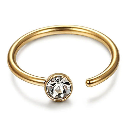 Stainless Steel Nose Rings for woman Hoop Nose Ring Earring CZ Body Ear Piercing Jewelry