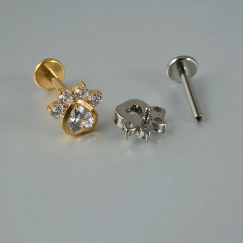 Zircon G23 Solid Titanium Cartilage Earrings Stud 16G Internally Threaded Cz Cluster Helix