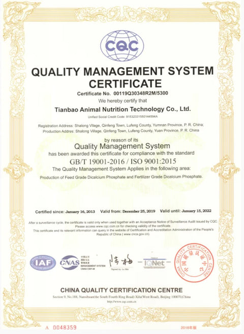 Wedding Rings for Men/Women CZ Couple Ring 316l Stainless Steel Engagement Jewelry