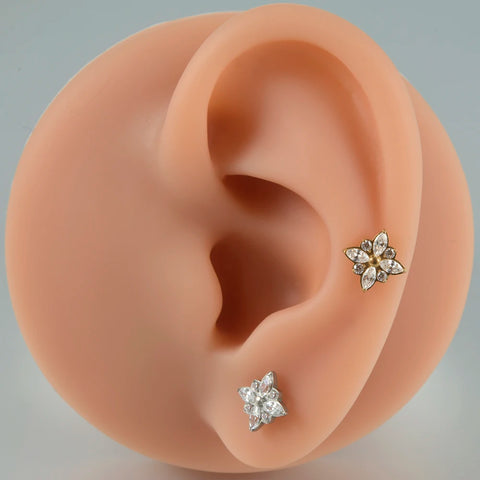 Zircon G23 Solid Titanium Cartilage Earrings Stud 16G Internally Threaded Cz Cluster Helix