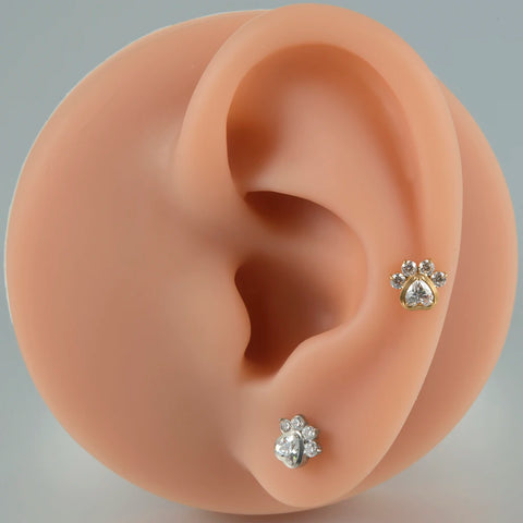 Zircon G23 Solid Titanium Cartilage Earrings Stud 16G Internally Threaded Cz Cluster Helix