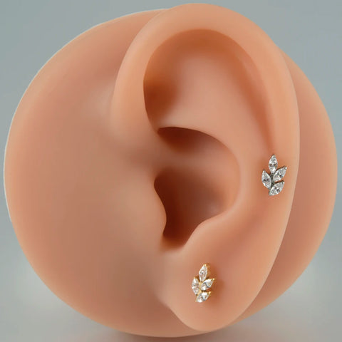 Zircon G23 Solid Titanium Cartilage Earrings Stud 16G Internally Threaded Cz Cluster Helix