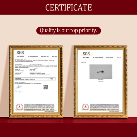 Titanium Steel Horseshoe Nose Rings Double CZ Crystal Screw Septum Rings Helix